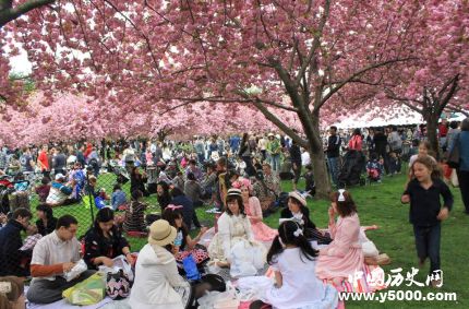 日本樱花节的由来简介日本赏樱花最佳时间是什么时候？