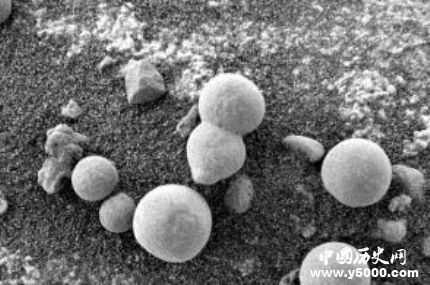 火星拍到蘑菇照片火星上有生命吗？