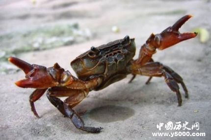 第一个吃螃蟹的人传说故事第一个吃螃蟹的人是谁？