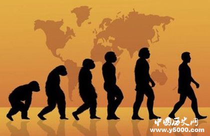 人类的起源是什么人类演化过程介绍世界上有几大人种